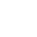 Steam